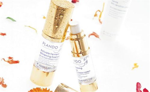 帕兰朵化妆品 产品视觉魅力与店铺美学空间